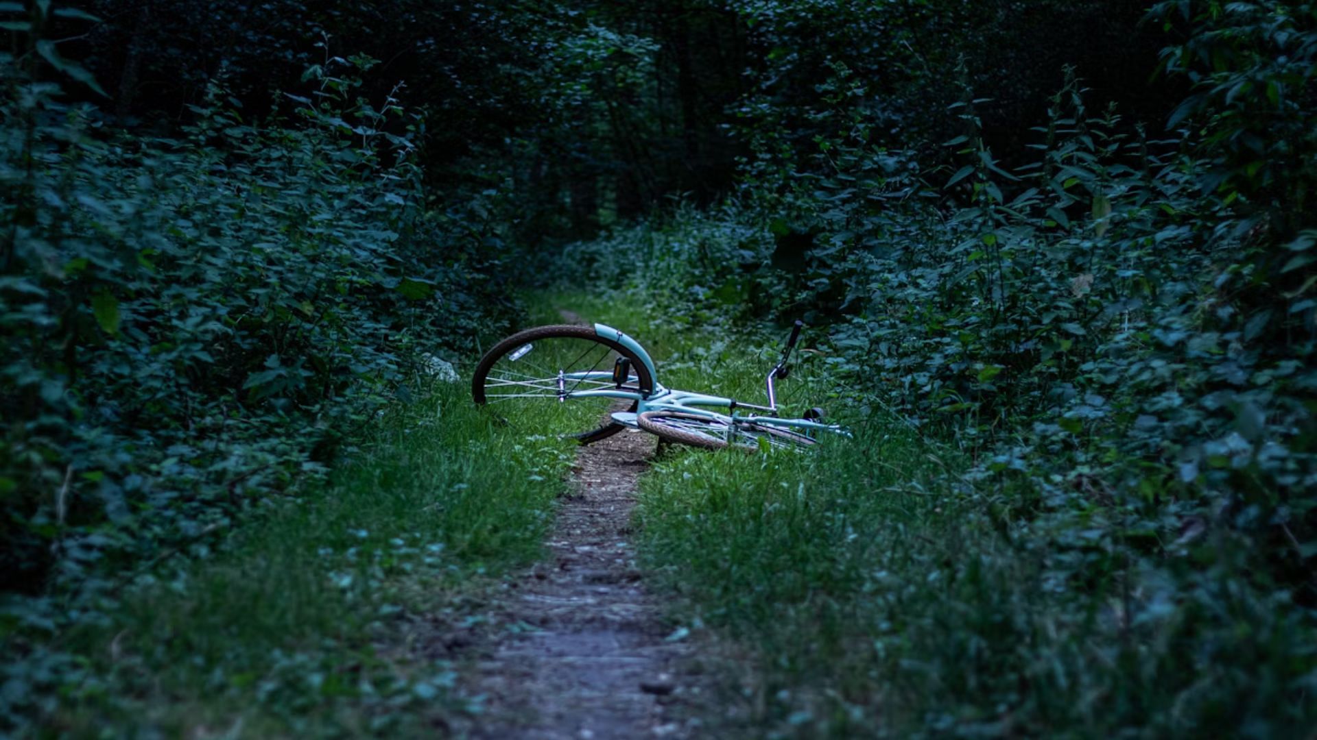 (Representative image via Unsplash/ @ Joël in 't Veld)
